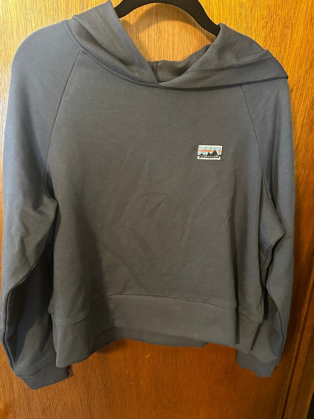 PATAGONIA SMOLDER BLUE OVERSIZED CROPPED ESSENTIAL HOODIE; S